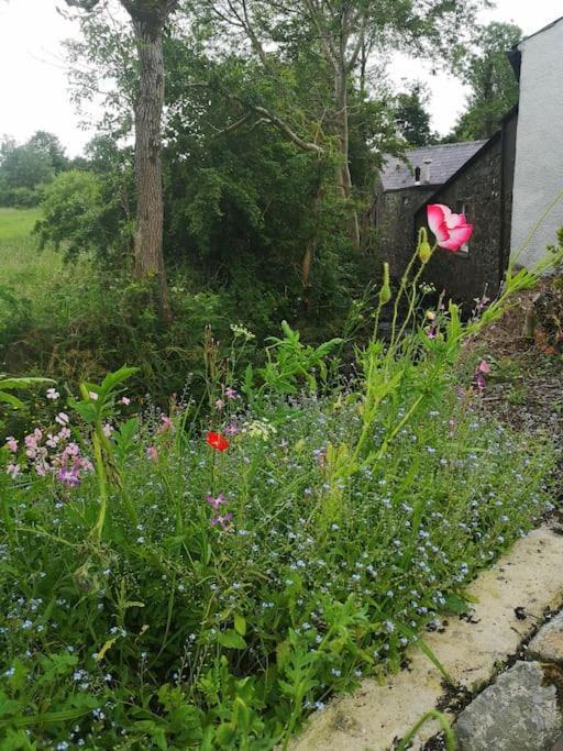 Riverside Cottage At Logwood Mill Ballyclare Exterior foto