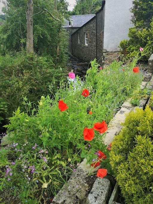 Riverside Cottage At Logwood Mill Ballyclare Exterior foto